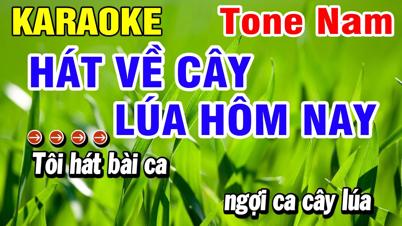 Karaoke Hát Về Cây Lúa Hôm Nay Nhạc Sống Tone Nam Em | Huỳnh Lê