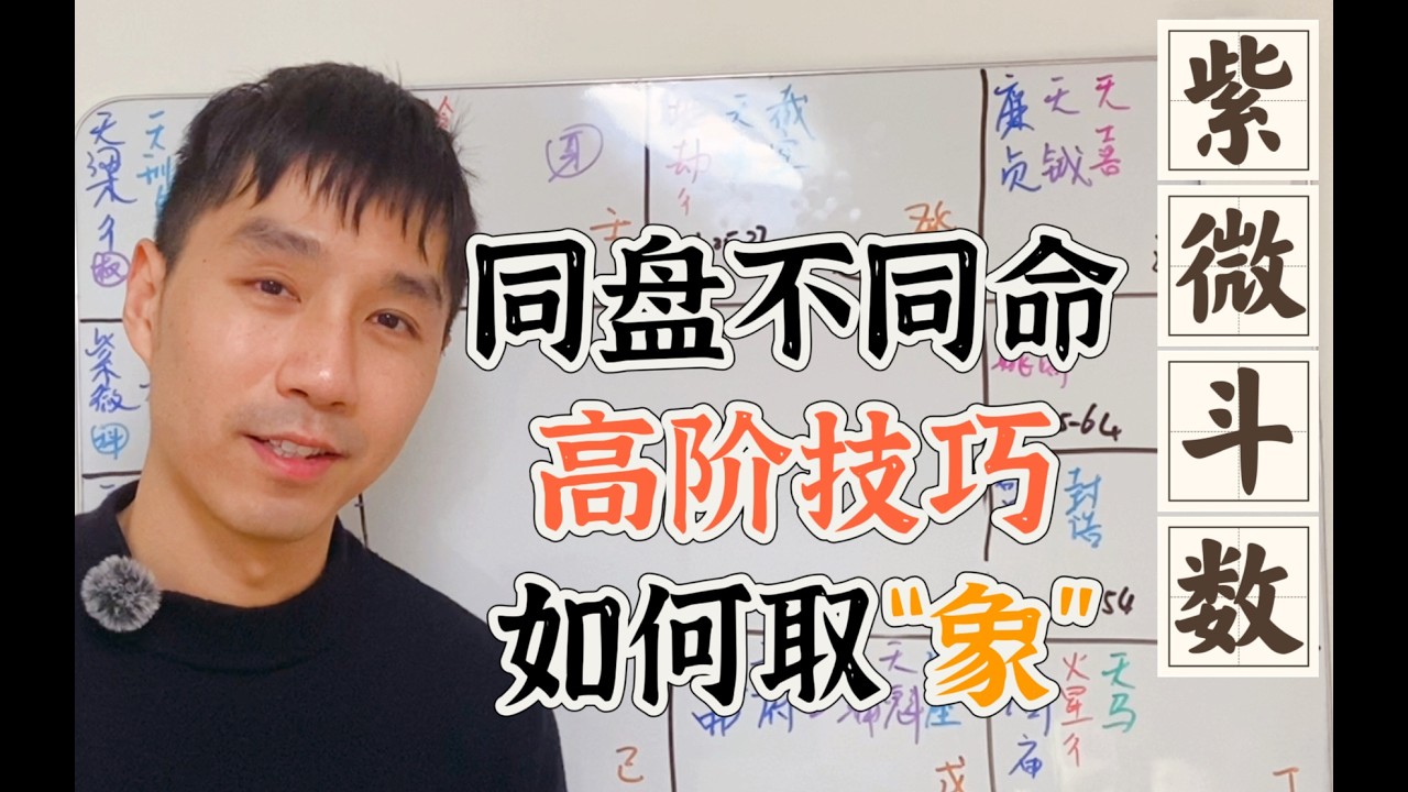 紫微斗数｜实战案例｜同盘为何不同命？斗数高阶接盘技巧，如何取“象”