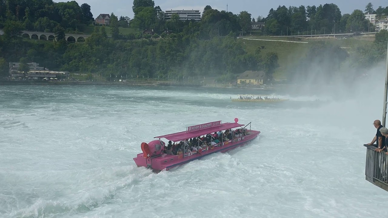 Eine Schifffahrt auf dem Rhein - direkt am Rheinfall