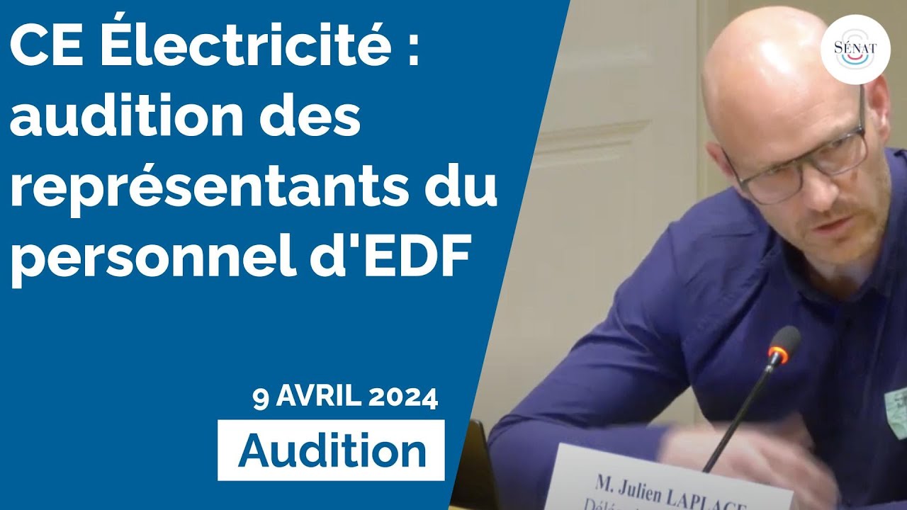 CE Électricité : audition des représentants du personnel d'EDF