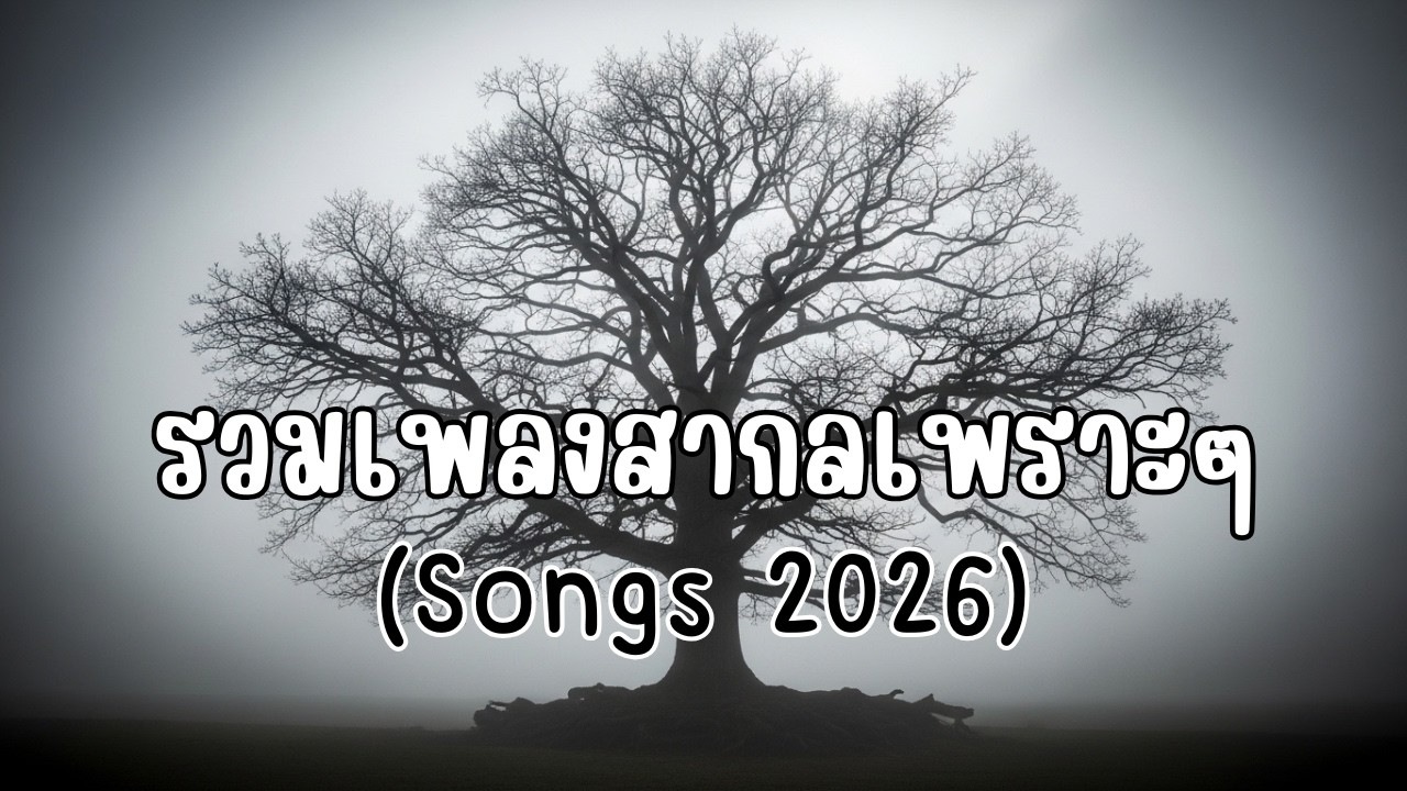 รวมเพลงสากลเพราะๆ ฟังยาวๆไม่มีโฆษณา EP.8 #เพลงสากล #เพลงเพราะ #ฟังร้านกาแฟ #ไม่มีโฆษณา #ฟังนั่งทำงาน