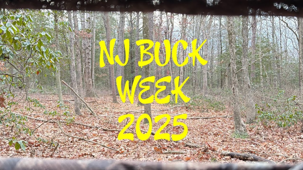 NJ Buck Week 2025: Охота на гигантского оленя с огромными рогами с винтовкой Savage 220! 🦌💥 #охот...