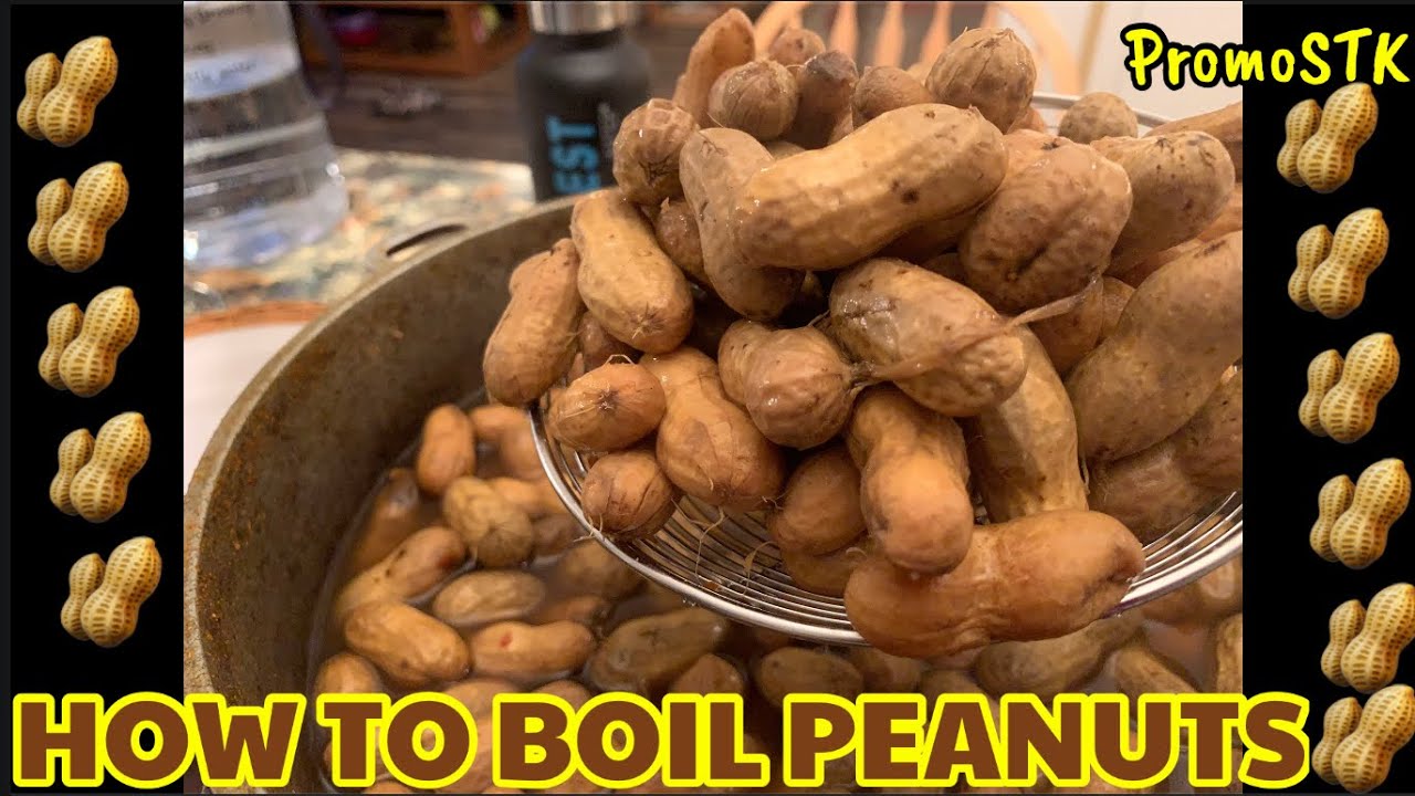 HOW TO BOIL PEANUTS#Cajunstyle #Promostk #howtoboilpeanuts #boiledpeanuts #southernstyle #rawpeanuts