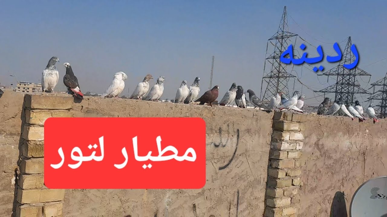 مطيار لتور + تعالو شوفو التغيرات لصارت