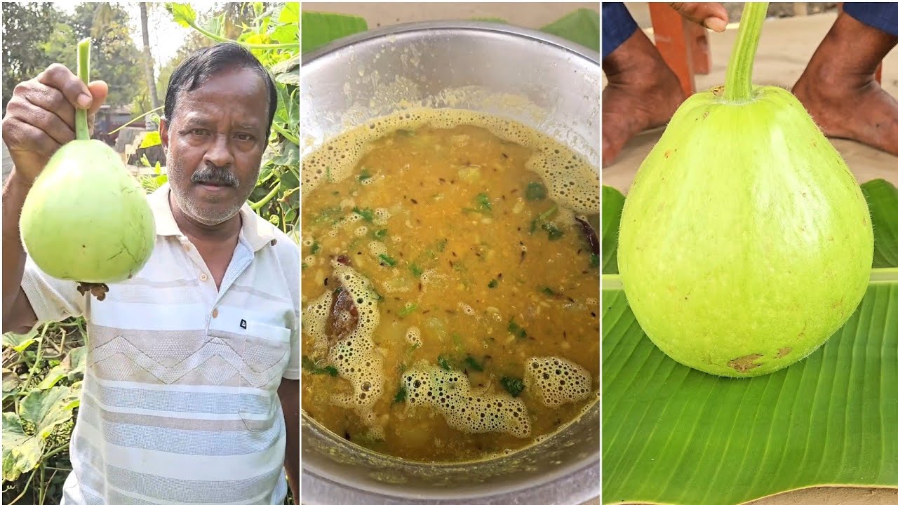 Bottle Gourd with Masoor Dal Bengali Style | Simple Village Food Cooking 