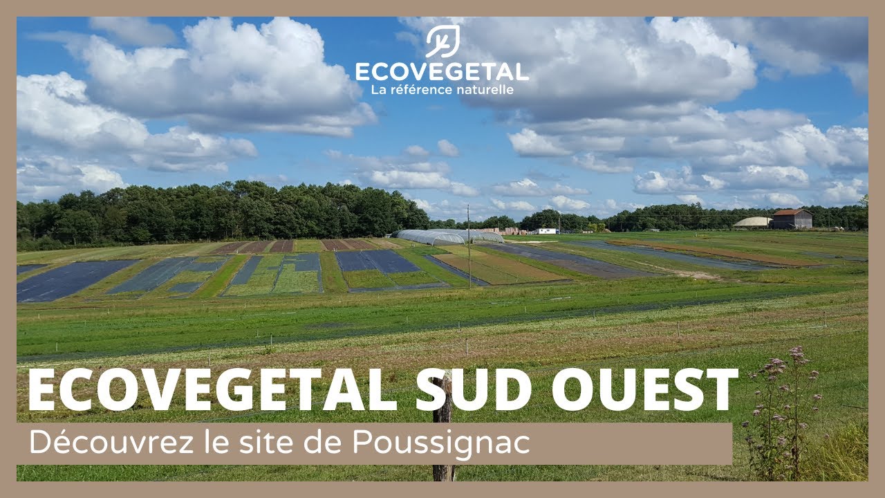 ECOVEGETAL SUD OUEST : site de production de végétaux pour toitures parkings végétalisés