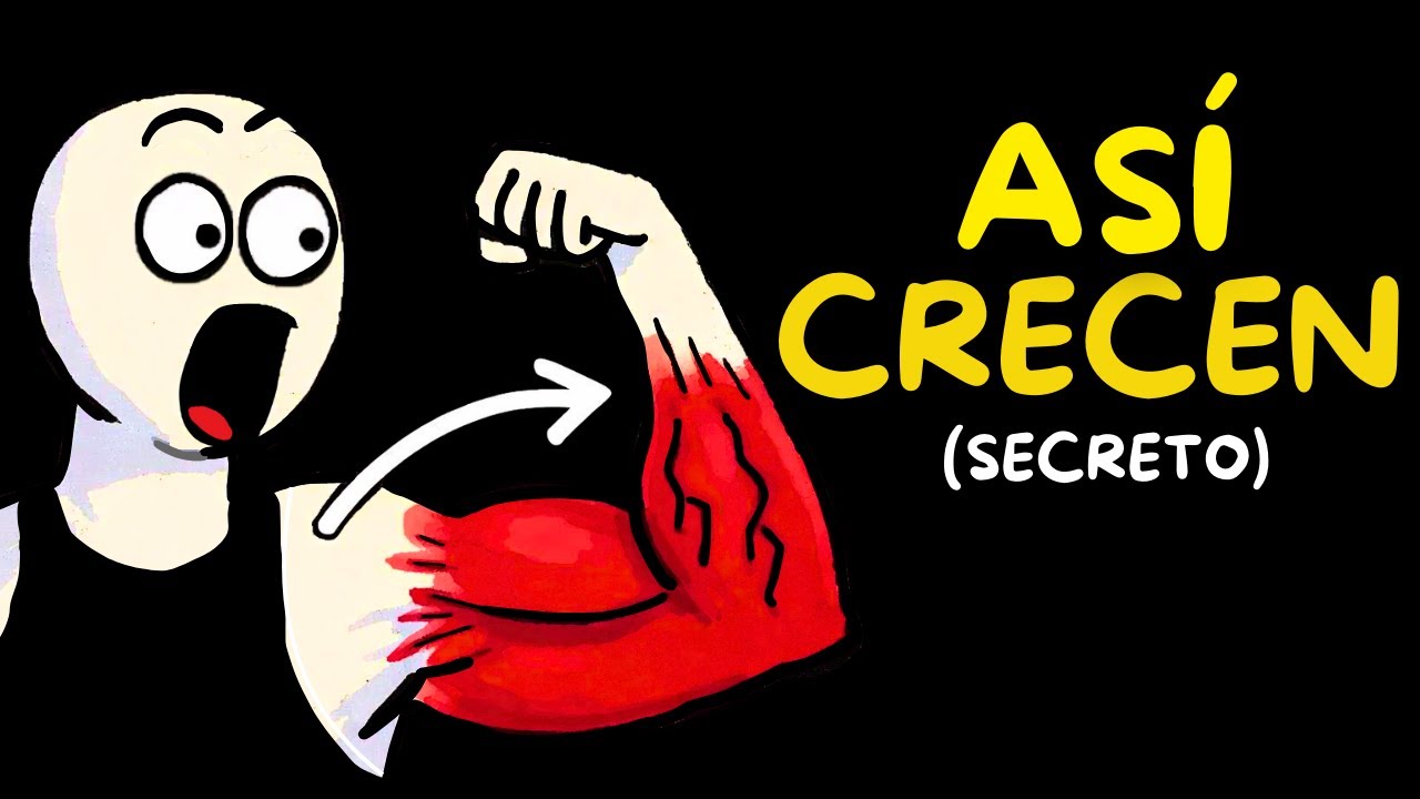 C&oacute;mo CRECEN los M&Uacute;SCULOS  de verdad (no es levantar m&aacute;s peso)