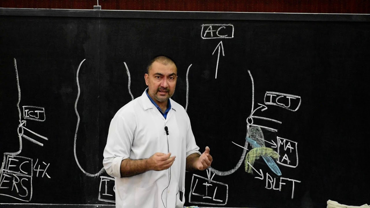 Relations and types of Caecum