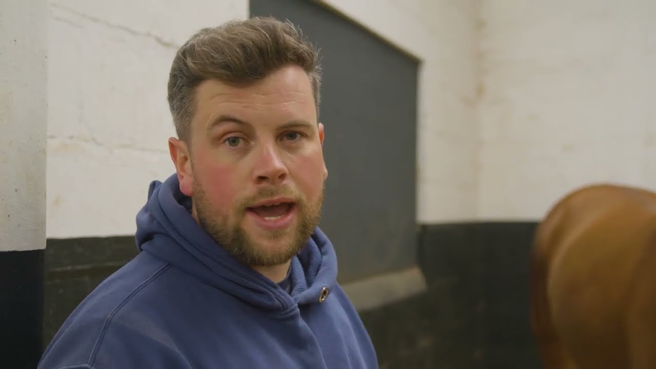 Follow a morning with Farrier Eoin Murphy