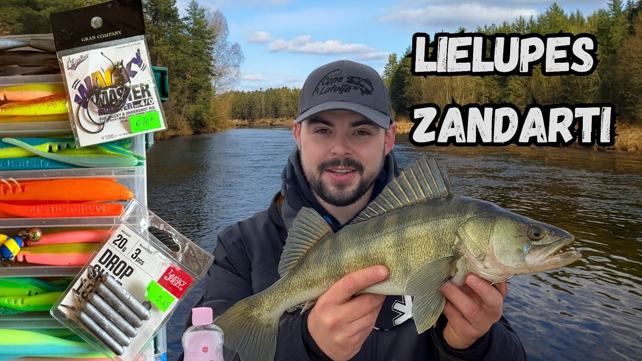 Zandartu makšķerēšana Lielupē! Kā noķert zandartu? Ar kādiem mānekļiem un tehniku darboties?