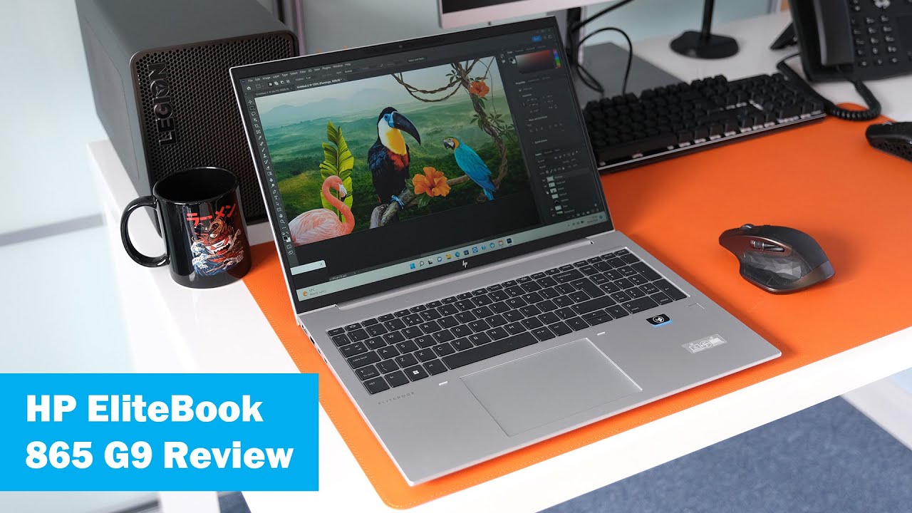 Обзор HP EliteBook 865 G9 (AMD 6850U, 16 ГБ, 512 ГБ, 16 дюймов)