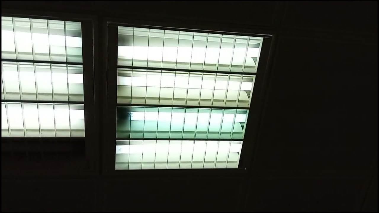 5x EOL Pars FL 20W T10 Daylight