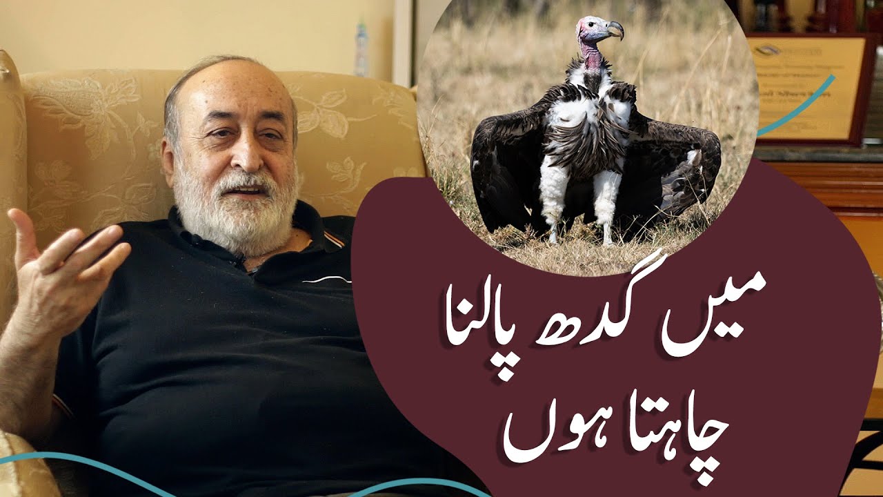 Entrepreneurs and Challenges with Parents | Flashback Zindagi of Faisal Sherjan