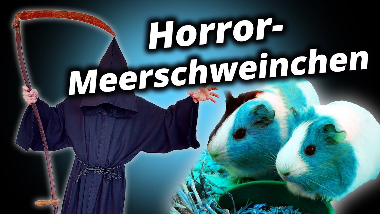 Horror-Meerschweinchen - Der Tod (Death Comedy)