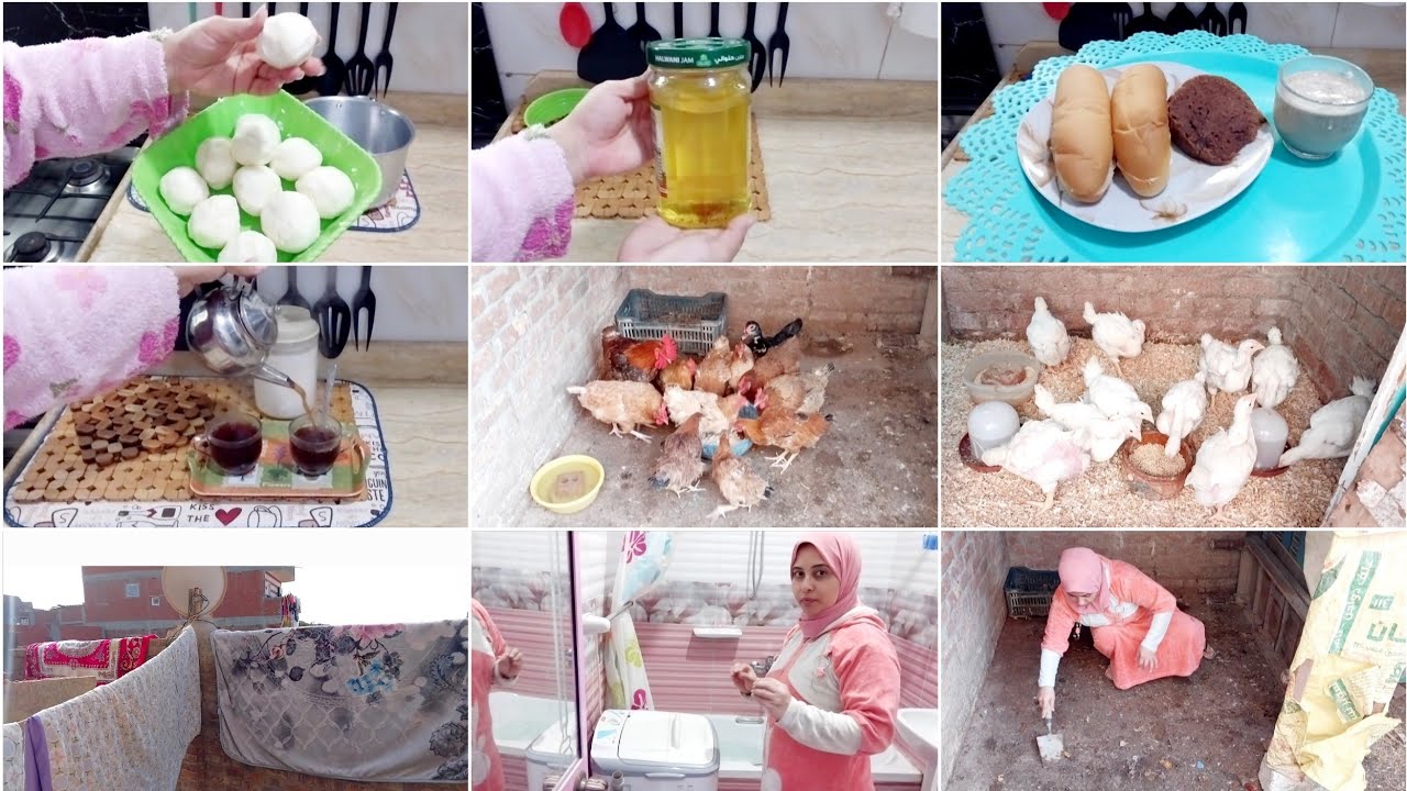 روتين فلاحى🌿لست البيت من السابعه صباحا🌞روتين الطاقه والنشاط والطاقه الايجابيه💪❤️أوعك الفيديو يفوتك👌