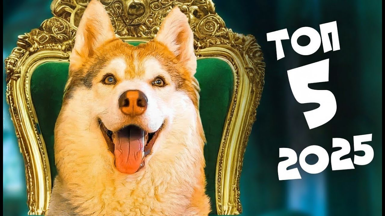ТОП 5 ЛУЧШИХ СЕРИЙ 2025 года!! Хаски Бублик Говорящая собака