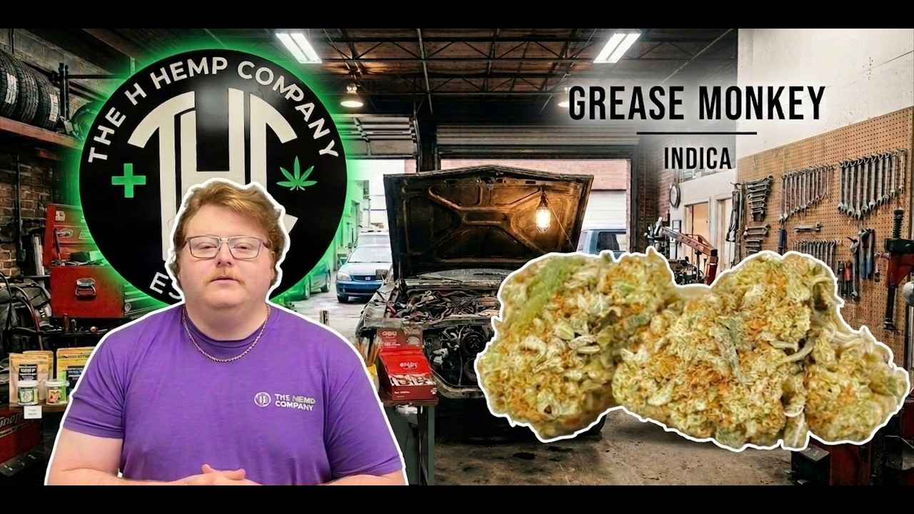 Grease Monkey Strain Review: Wrench Time! Is it the Perfect Fix?