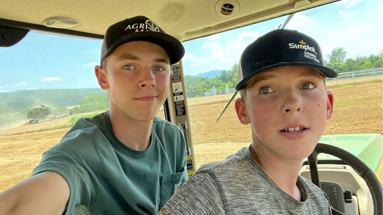 Harvesting Wheat for the First Time in 30 Years!