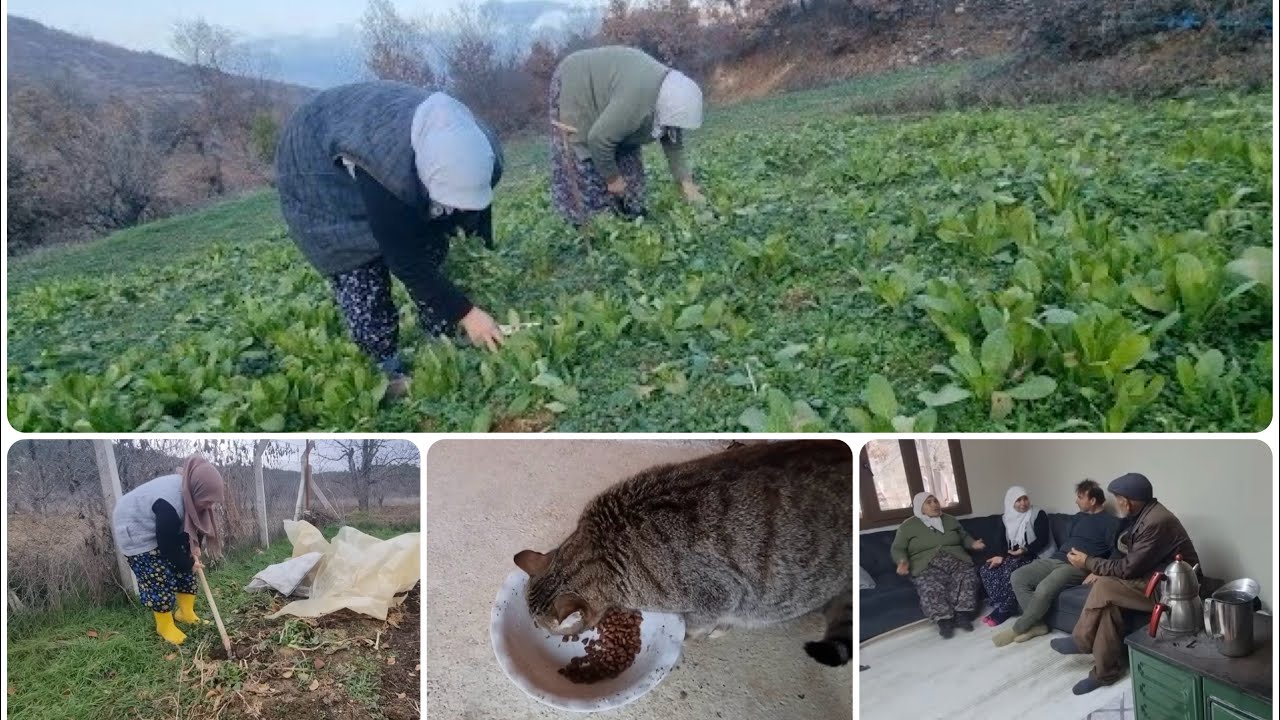 KÖYÜN GÜZEL TARAFI KİLERİMİZDE OLANLARDAN OLMAYANA VERİYORUZ ALIYORUZ | -13 DERECEYİ GÖRDÜ 