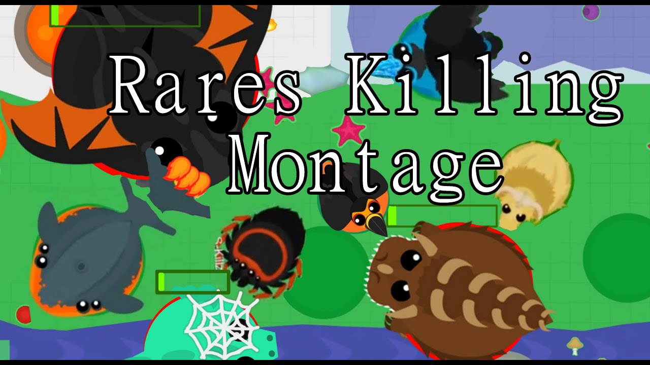 Rare Animals Montage/ Roams.io