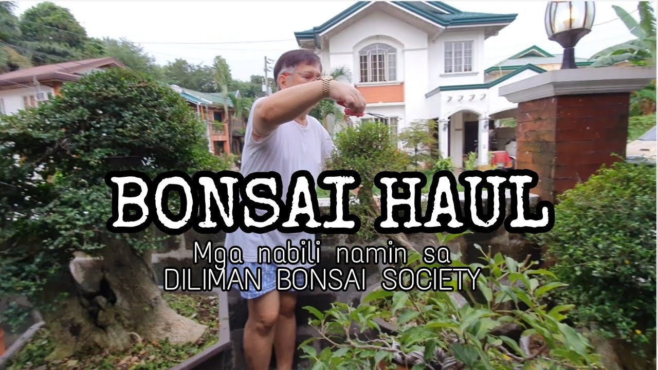 BONSAI HAUL - MGA PINAMILI NAMIN + A QUICK TOUR NG BONSAI COLLECTION NAMIN🙂