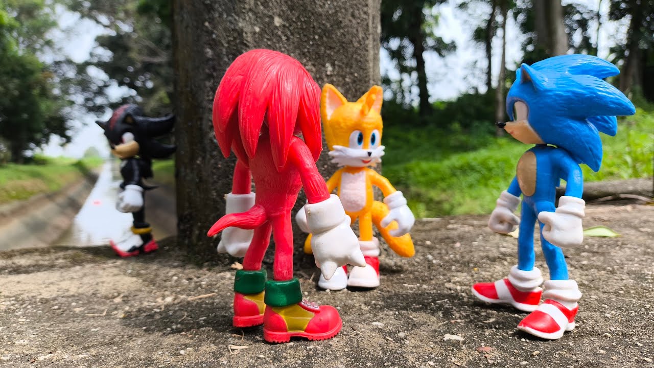 Sonic Hedgehog, Sonic Shadow, Knuckles, Tails, Metal Sonic, Super Sonic, Metal Sonic, Super Shadow