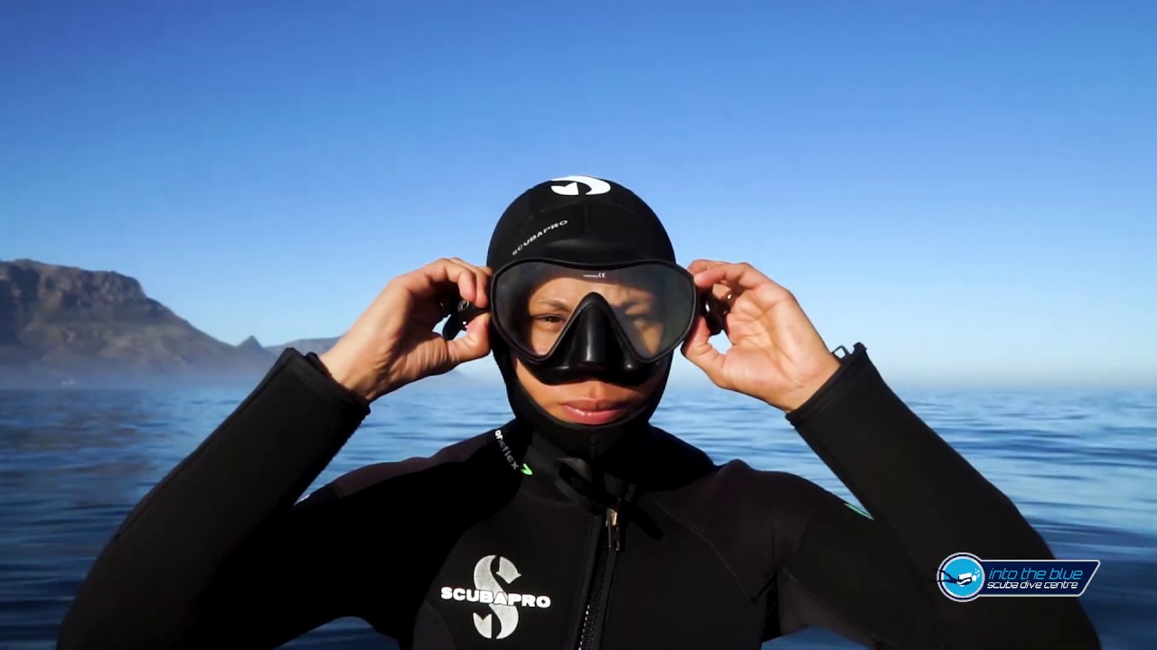 Into the Blue Scuba Dive Centre Cape Town South Africa