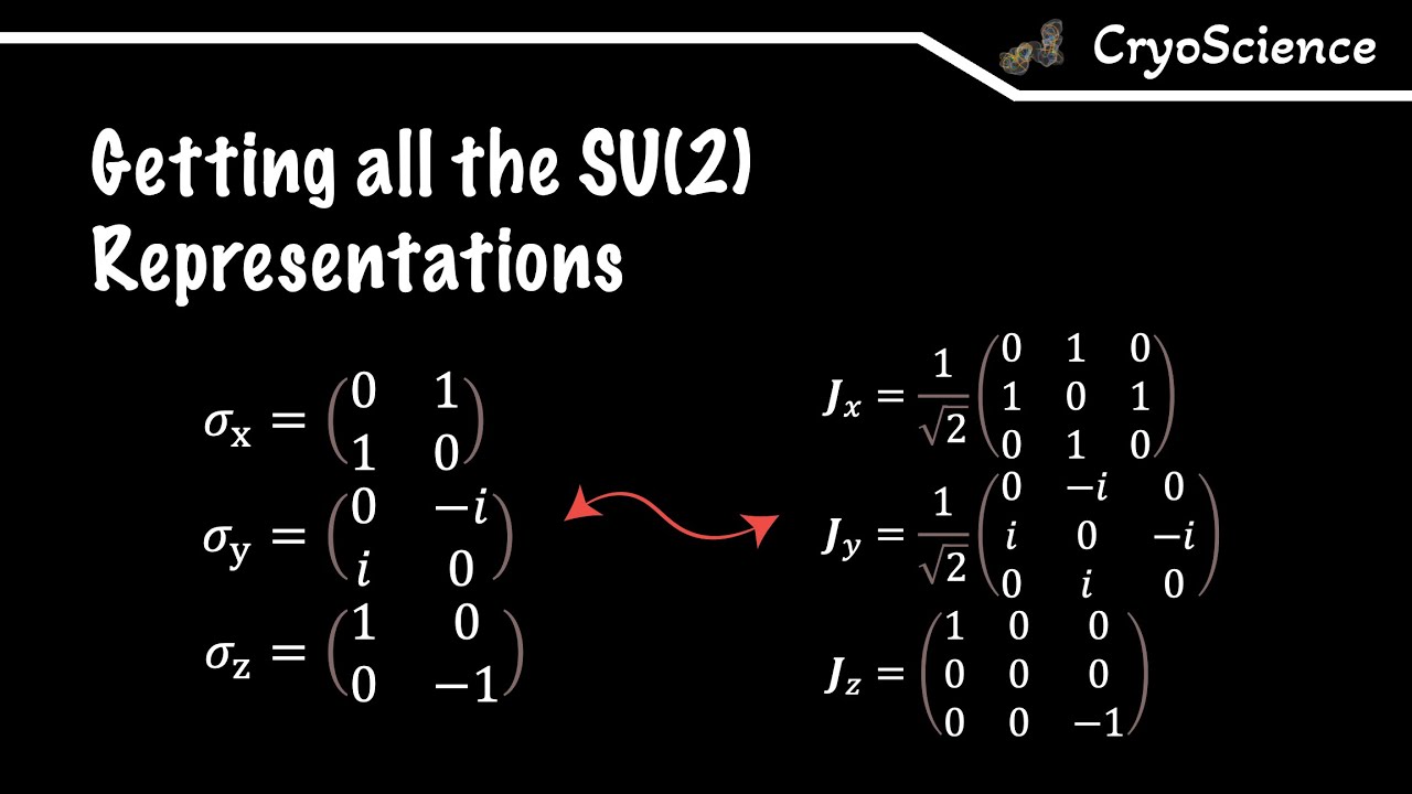 Symmetric Physics | The Core or Representation Theory