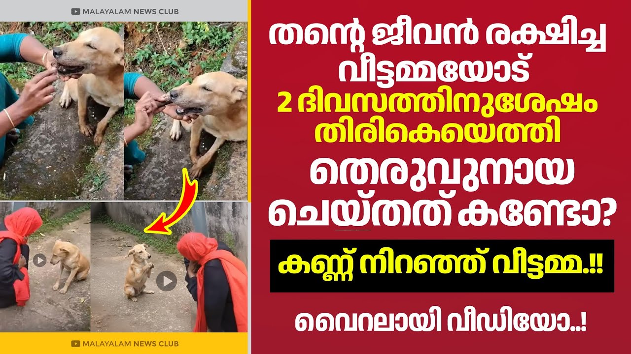 കണ്ടു നിന്നവരെല്ലാം അമ്പരന്നുപോയ നിമിഷം.! 