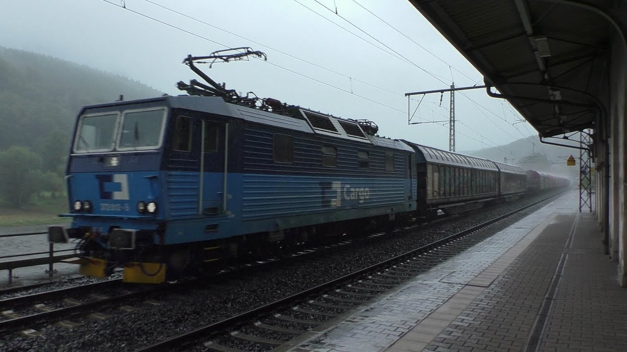 Züge im Elbtal[Bei Königstein]2024 mit BR372 BR189 & VIEL MEHR