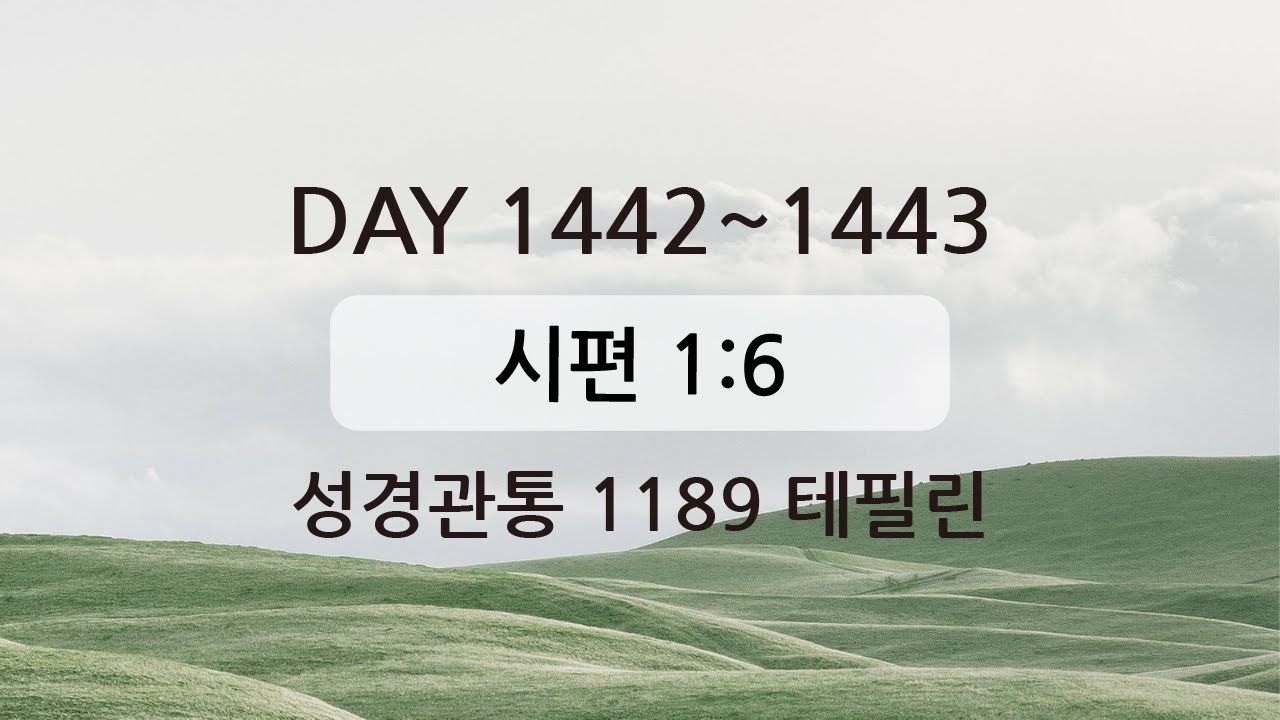 테필린 [Day 1442-1443] 시편 1:6 50번 선포