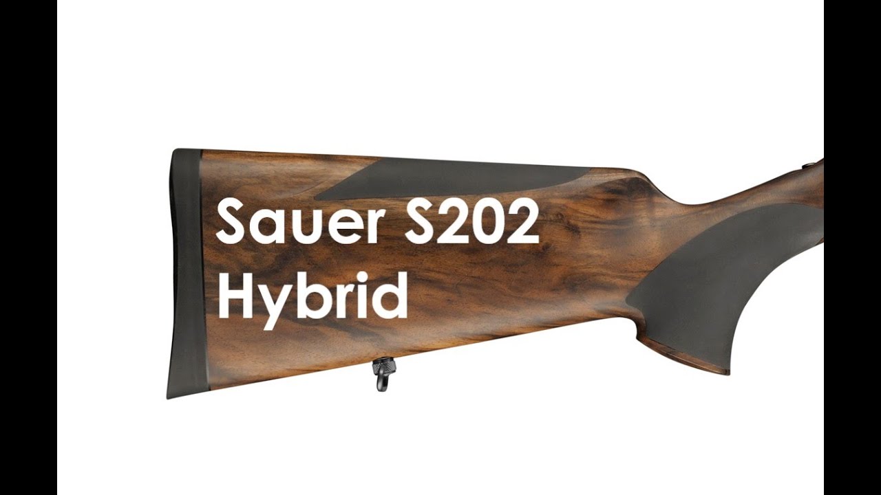 Sauer (Заур) (Зауэр) S202 Hybrid - элегантная классика, рафинированная современность