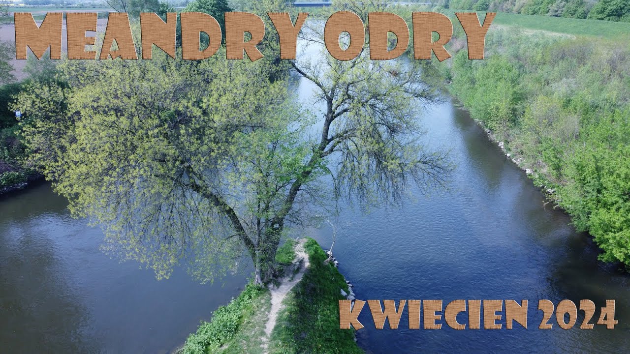 Meandry Odry