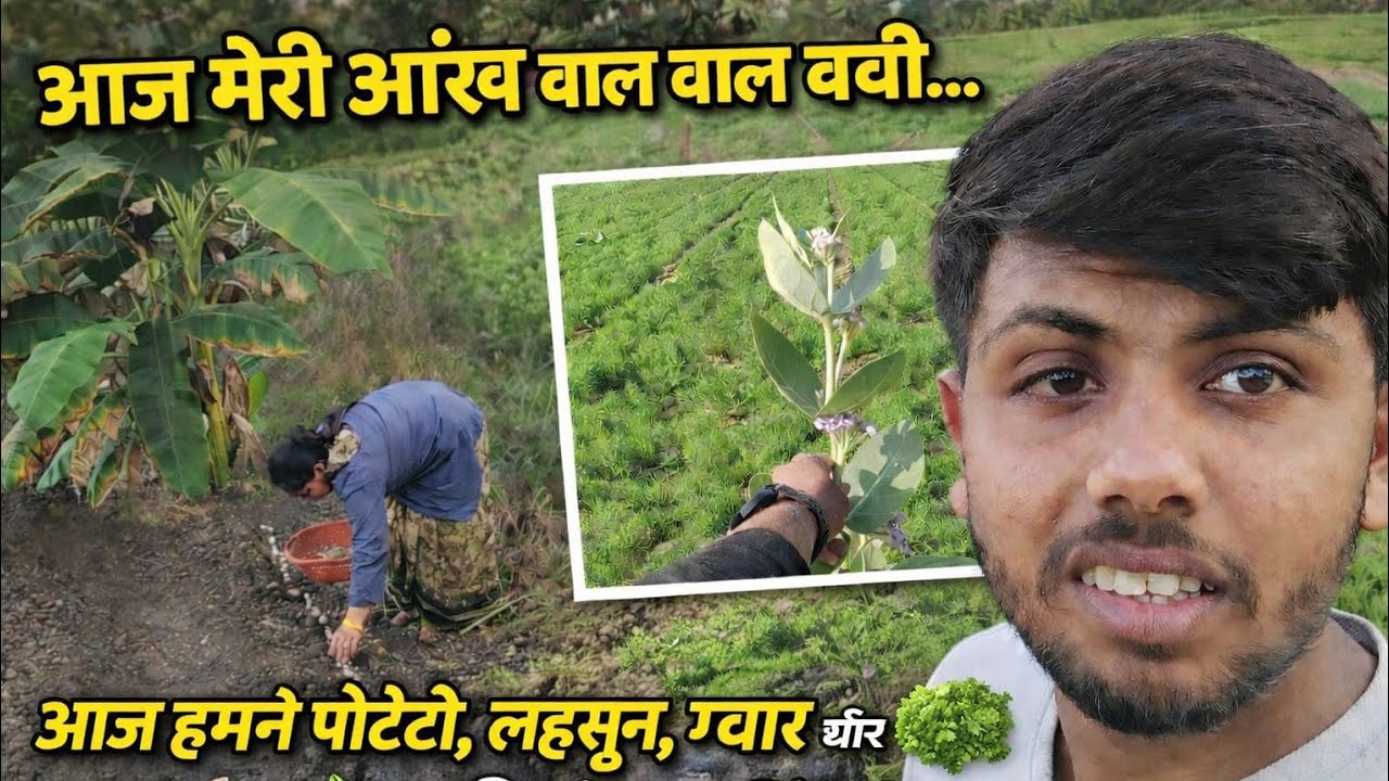 आज मेरी आंख बाल बाल बसी 🫣😔/ पोटेटो फार्मिंग/ Poteto farming ki dailyvlogs 2 