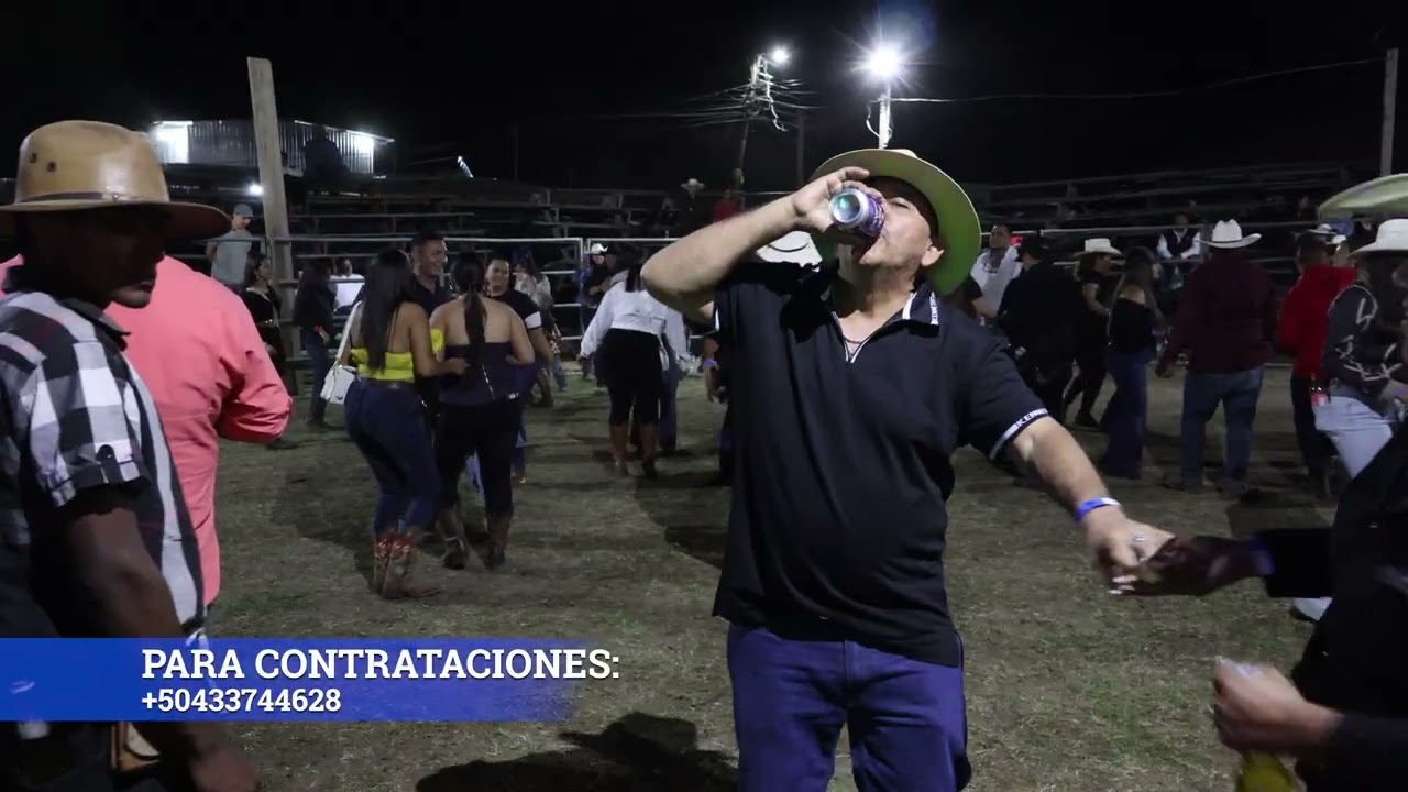 Estilo Diferente - Avispa 