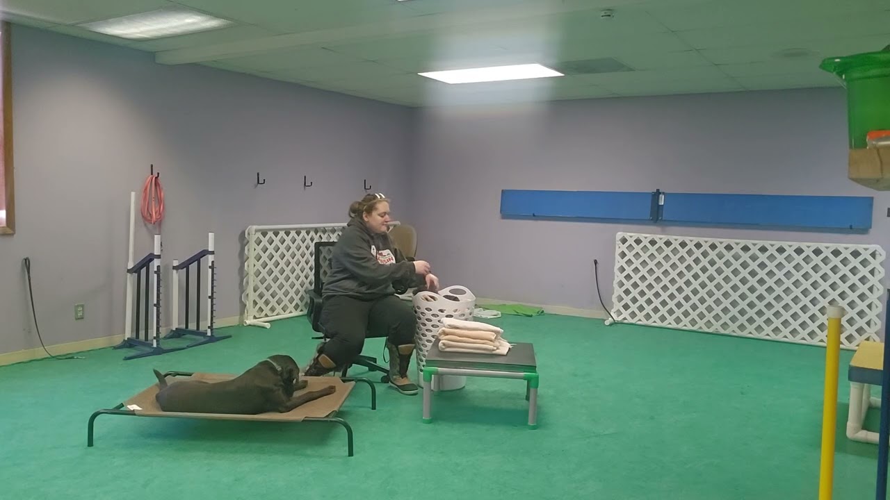 Leroy - mom's busy 