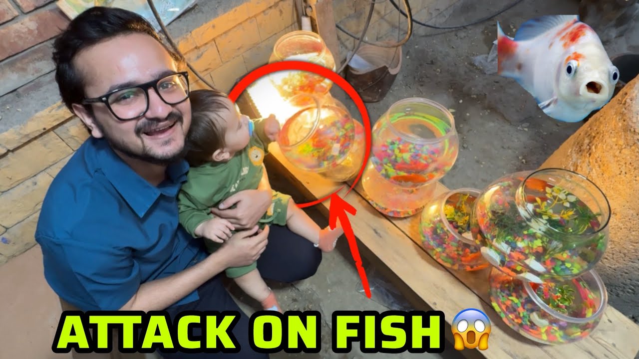 Kabeer ny chupky sy fish par attack kar diya🙄new guest in my house❤️