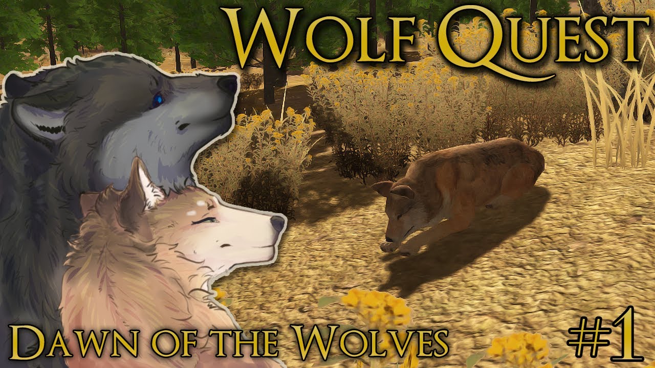 A Young Wolf's New Journey!! 🐺 WOLF QUEST: DAWN OF THE WOLVES 🐺 Episode #1