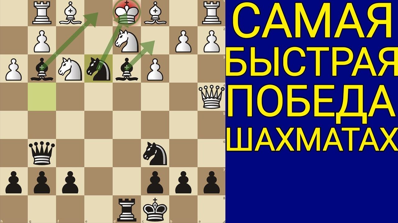 ЭТОТ МАТ ПОЛУЧИЛ МЕДАЛЬ ЗА КРАСОТУ🥇! Самая коварная ЛОВУШКА в шахматах! Шахматы дебюты