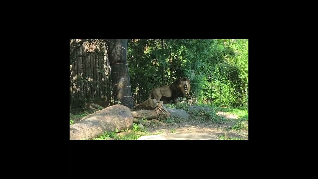 到津の森公園 2025夏