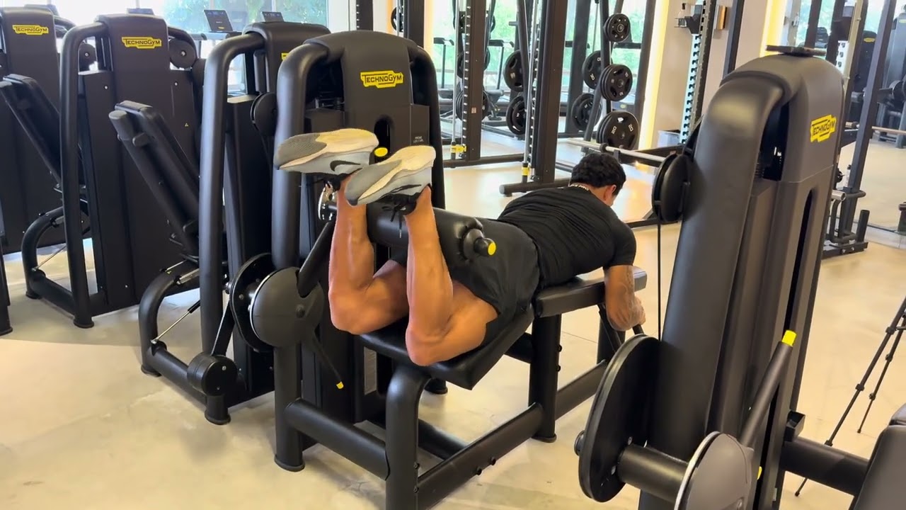 Mesa Flexora