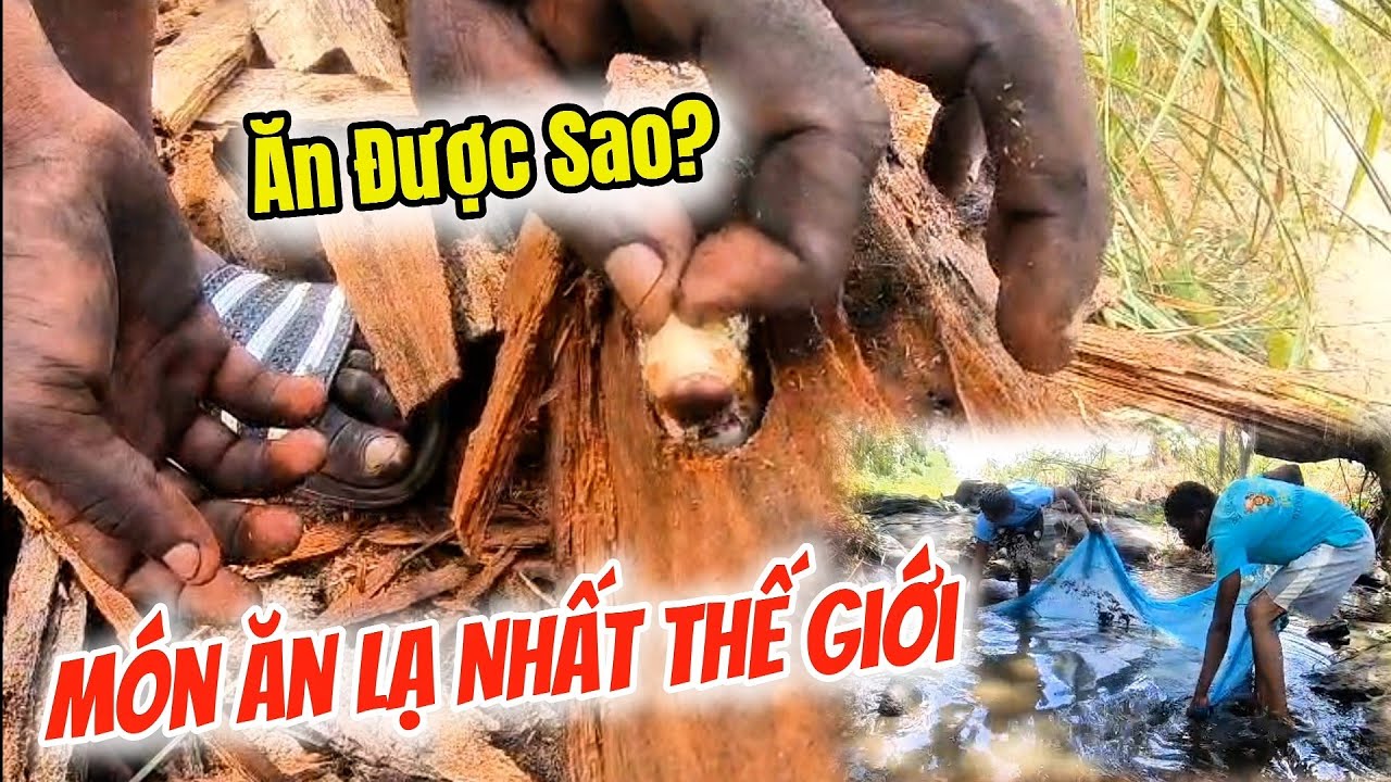Theo Chân Thanh Niên Bản Khám Phá Suối Rừng Châu Phi – Món Ăn Lạ Nhất Thế Giới | Huy Khánh Vlogs