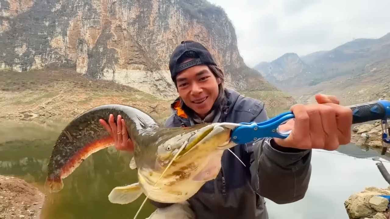 貴州水庫狂拉巨物！一條價值上千！這次真的發財了！