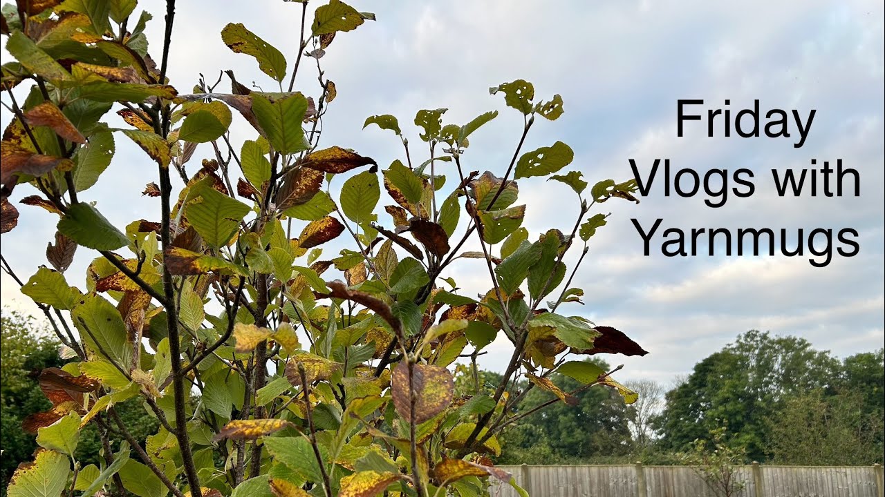 Friday Vlogs with Yarnmugs - The Knitting and Stitching show, Alexandra Palace. 11th October 2024