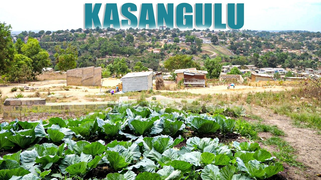 DÉCOUVERTE KASANGULU LA VENTE DES TERRAINS ET PARCELLES S'OUVRE À TOUS LES BUSINESSMEN, SUIVEZ 