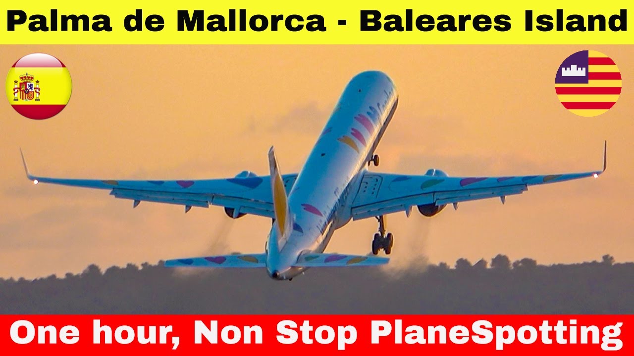 [PALMA DE MALLORCA] 🇪🇸 PLANE SPOTTING ✈ ⛱, One Hour, end of Summer season 2021