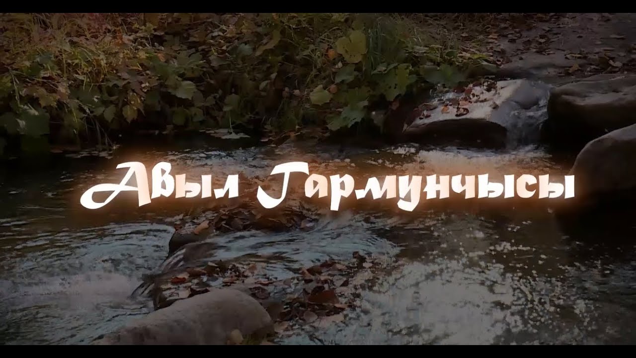 Фильм Авыл Гармунчысы (на татарском языке)