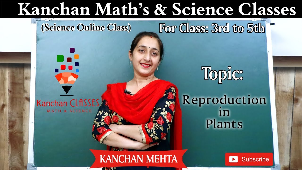 Reproduction in Plants | Class 5th |  KANCHAN CLASSES