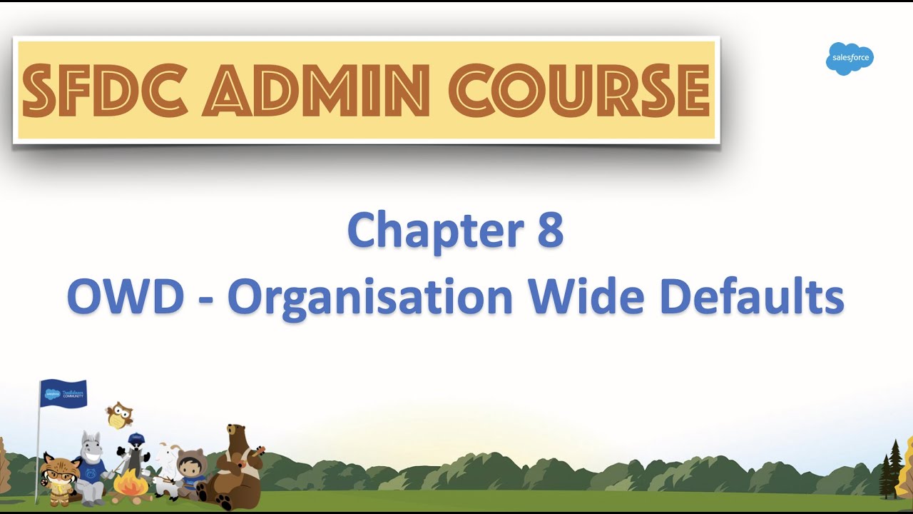 Chapter 8 - OWD Organisation Wide Defaults in Salesforce in Hindi || Salesforce Tutorial #owd #sfdc