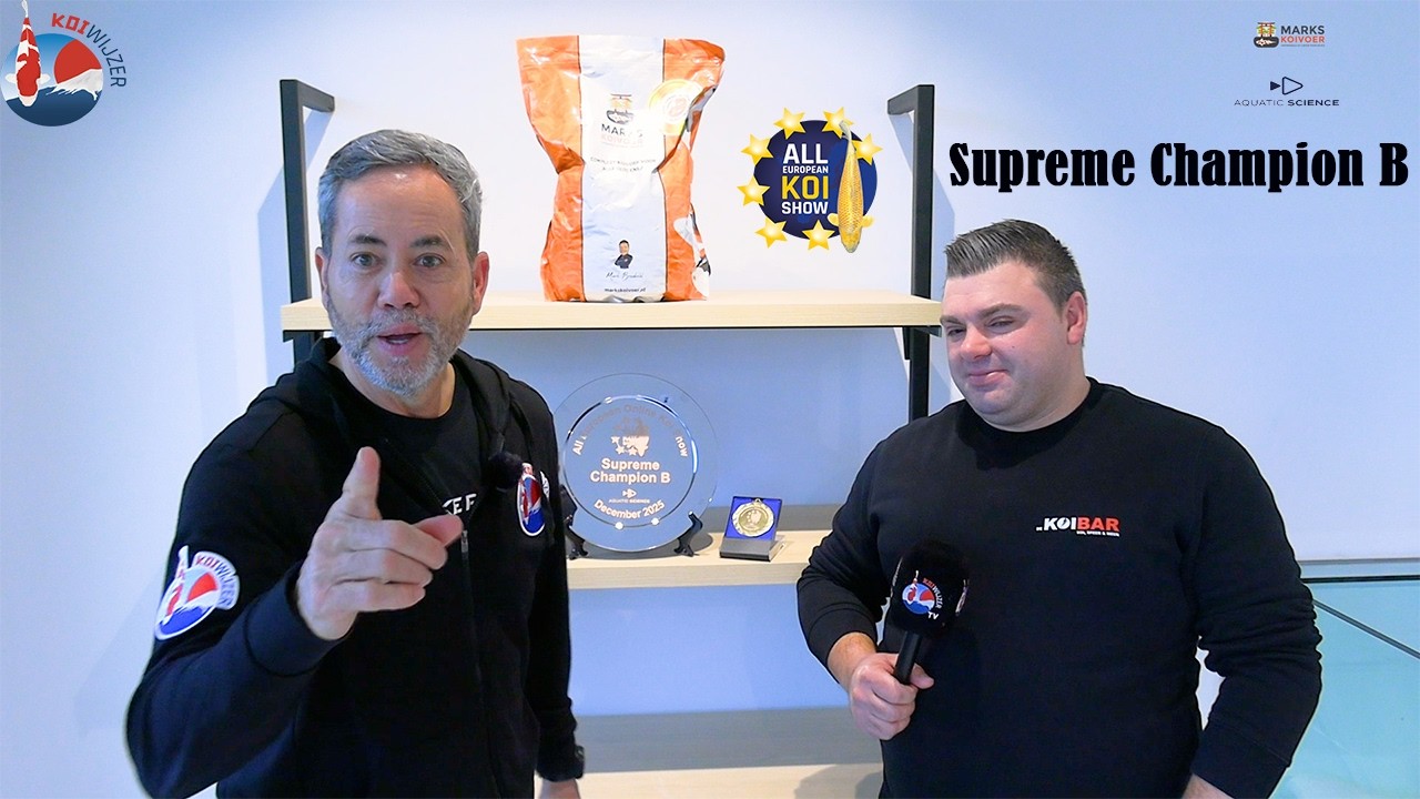 Op bezoek bij De Koibar: prachtige nieuwe zaak én Supreme Champion B!